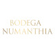 Bodega Numanthia