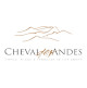 Cheval des Andes